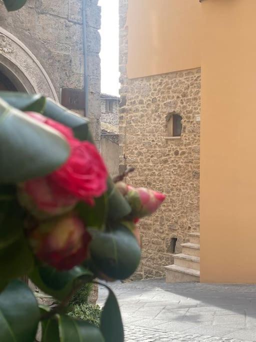 Il Nido Dell'arte Anagni