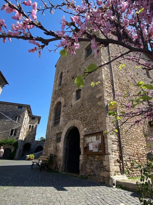 Apartment Il Nido Dell'arte *